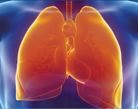 Webinar: Cancer Inequalities between and within Member States